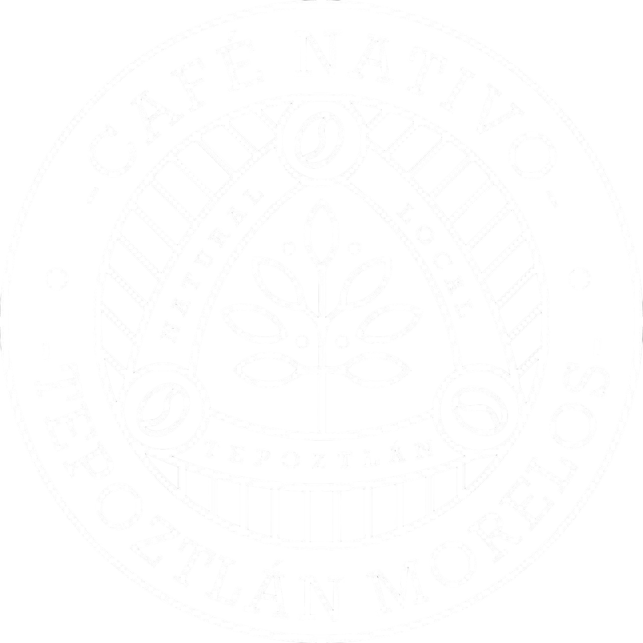 WhatsApp Image 2026-02-26 at 11.57.44 AM-Photoroom